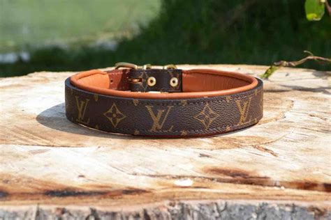 louis vuitton designer dog collars|louis vuitton dog collar small.